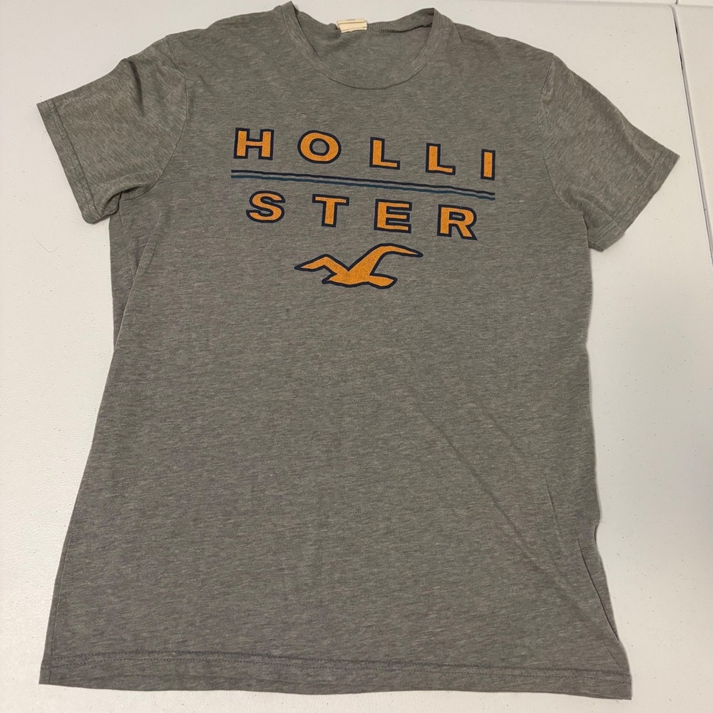 Hollister Mens Graphic T-Shirt Gray Short Sleeve Logo Tee Small zz
